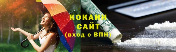 индика Белокуриха